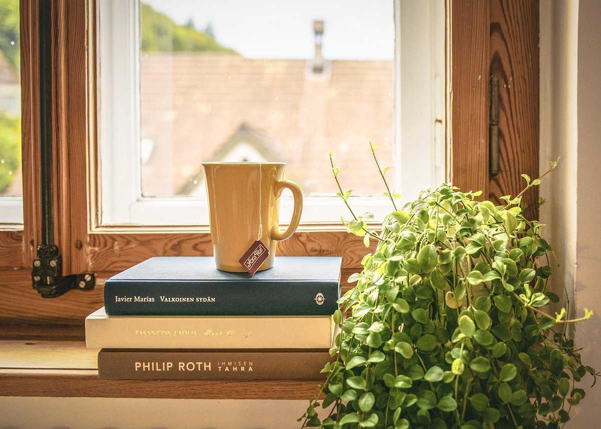 Livre, tasse, plante sur un rebord de fenêtre, vue extérieure Livre, tasse, plante sur un rebord de fenêtre, vue extérieure