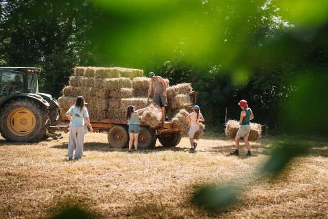Quels matériaux investir dans votre projet de ferme animale ?
